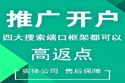 SEM外包服务优势案例分析
